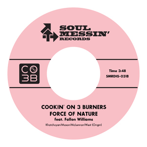 少妇被又大又粗进进出出A片
