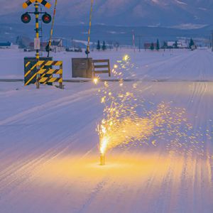 野猫沟下免费阅读全文
