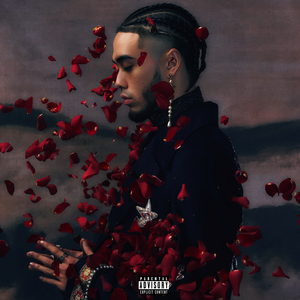 最新在线视频91
