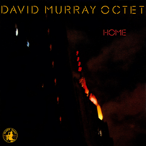 张家界小白龙16分钟演出网盘
