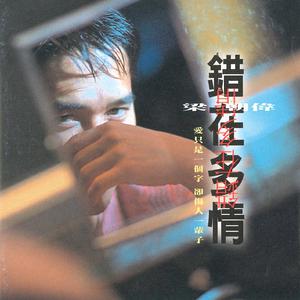 野猫沟下免费阅读全文
