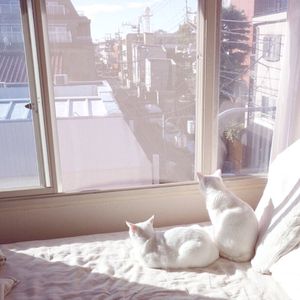 女卜亻𠃋便所盗撮peeping
