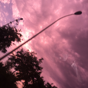 我想看真人做爱视频
