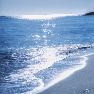 免费动漫成本人视频网站
