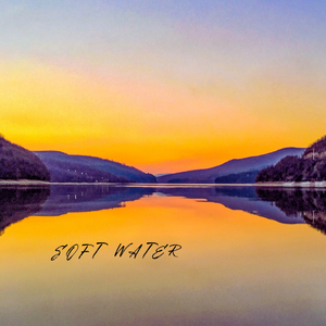 性受XXXX黑人XYX性爽
