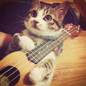 品爱阁下载安装
