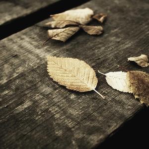 在线观看男同视频
