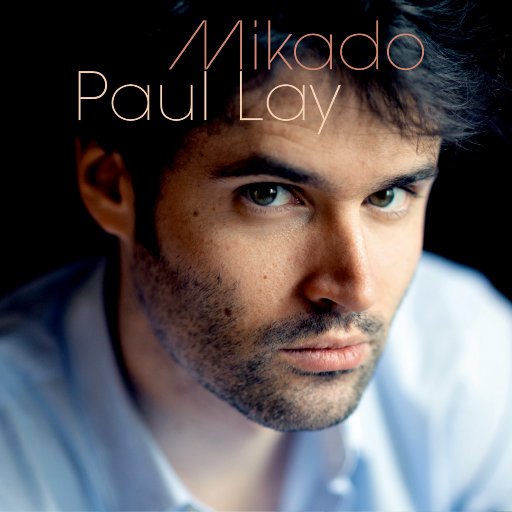 在线观看男同视频
