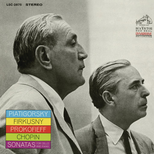 野猫沟下免费阅读全文
